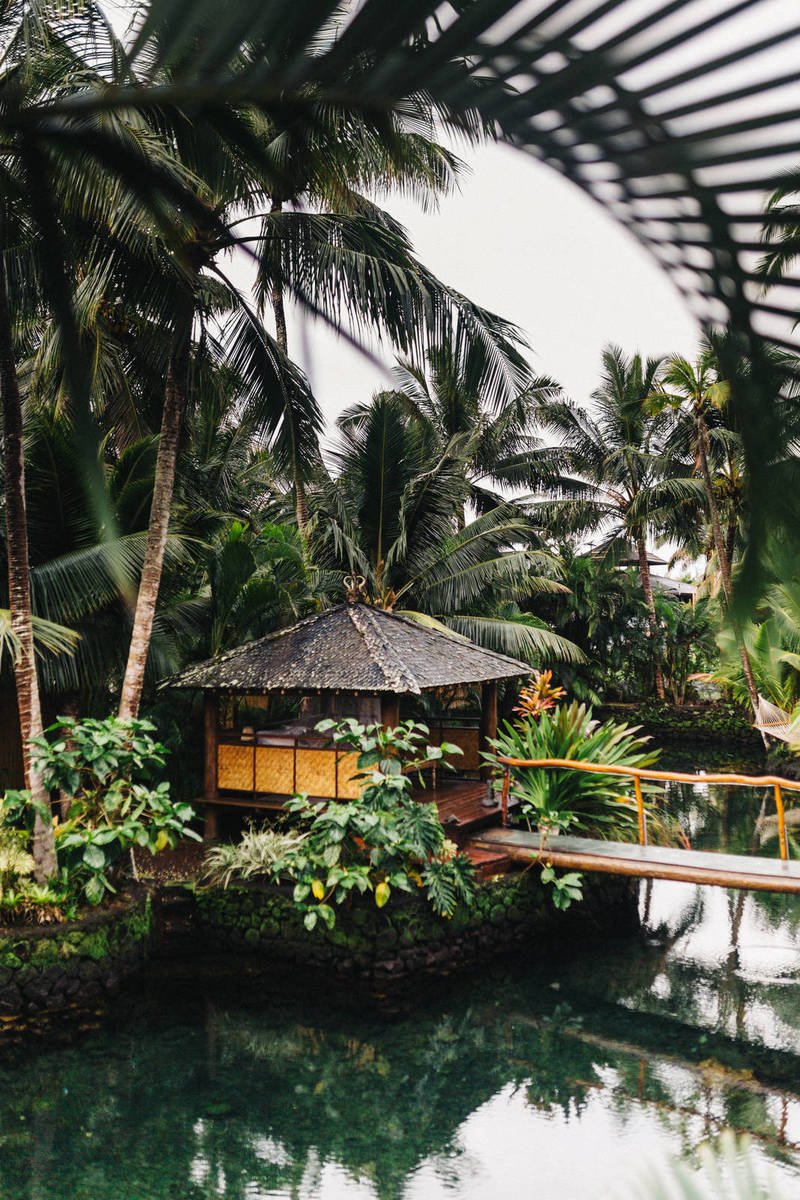 Coronavirus latest: Japan’s Vaccination Rate Tops 75% As Cases Drop Coronavirus latest: Japan’s Vaccination Rate Tops 75% As Cases Drop