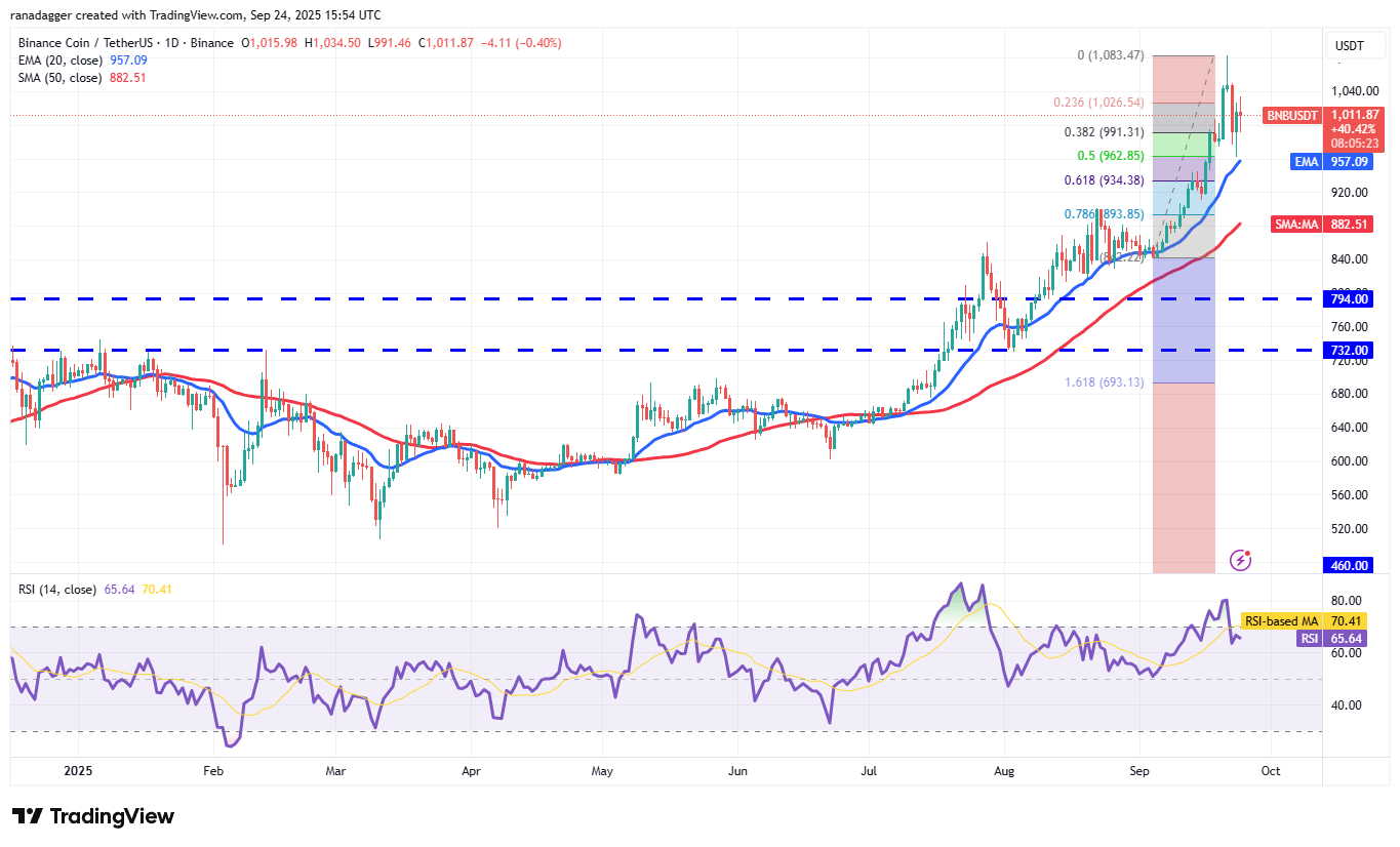 Cryptocurrencies, Bitcoin Price, Markets, United States, Cryptocurrency Exchange, CNBC, Price Analysis, Market Analysis, MicroStrategy, Whale, Bitcoin ETF, ETF, Michael Saylor