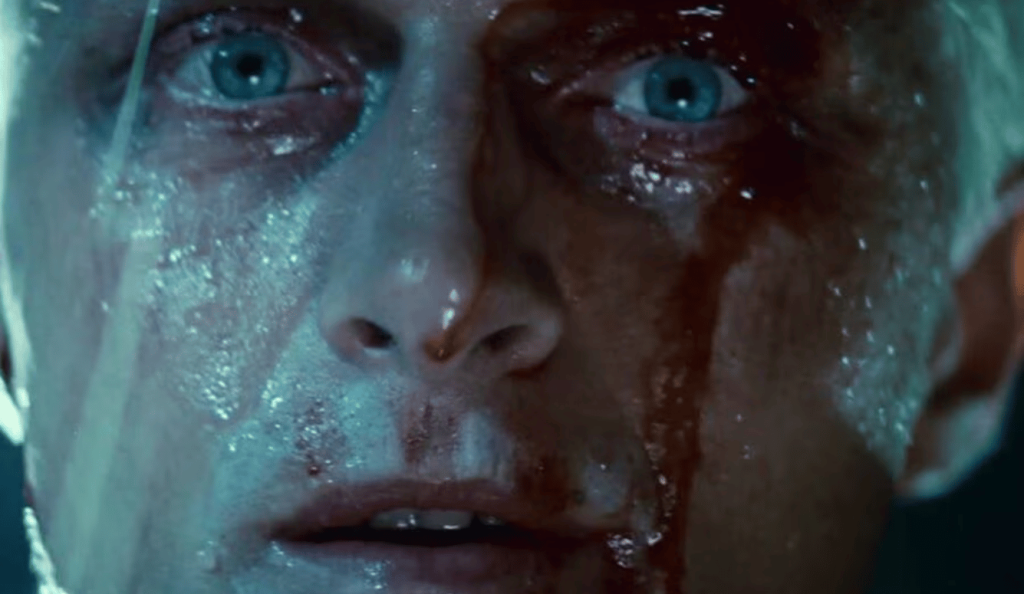 How Art Multiplies Our Limited Lives