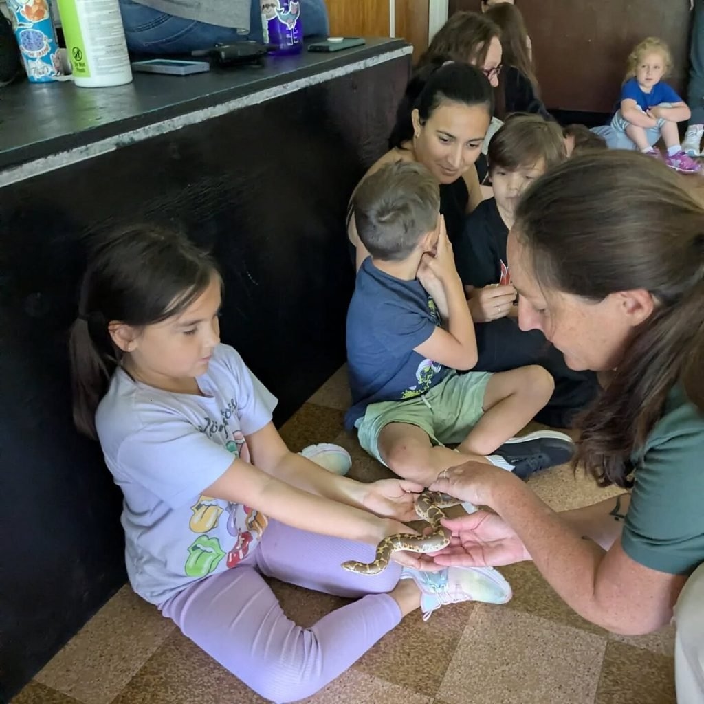 Friday Feature: Discovery Learners' Academy