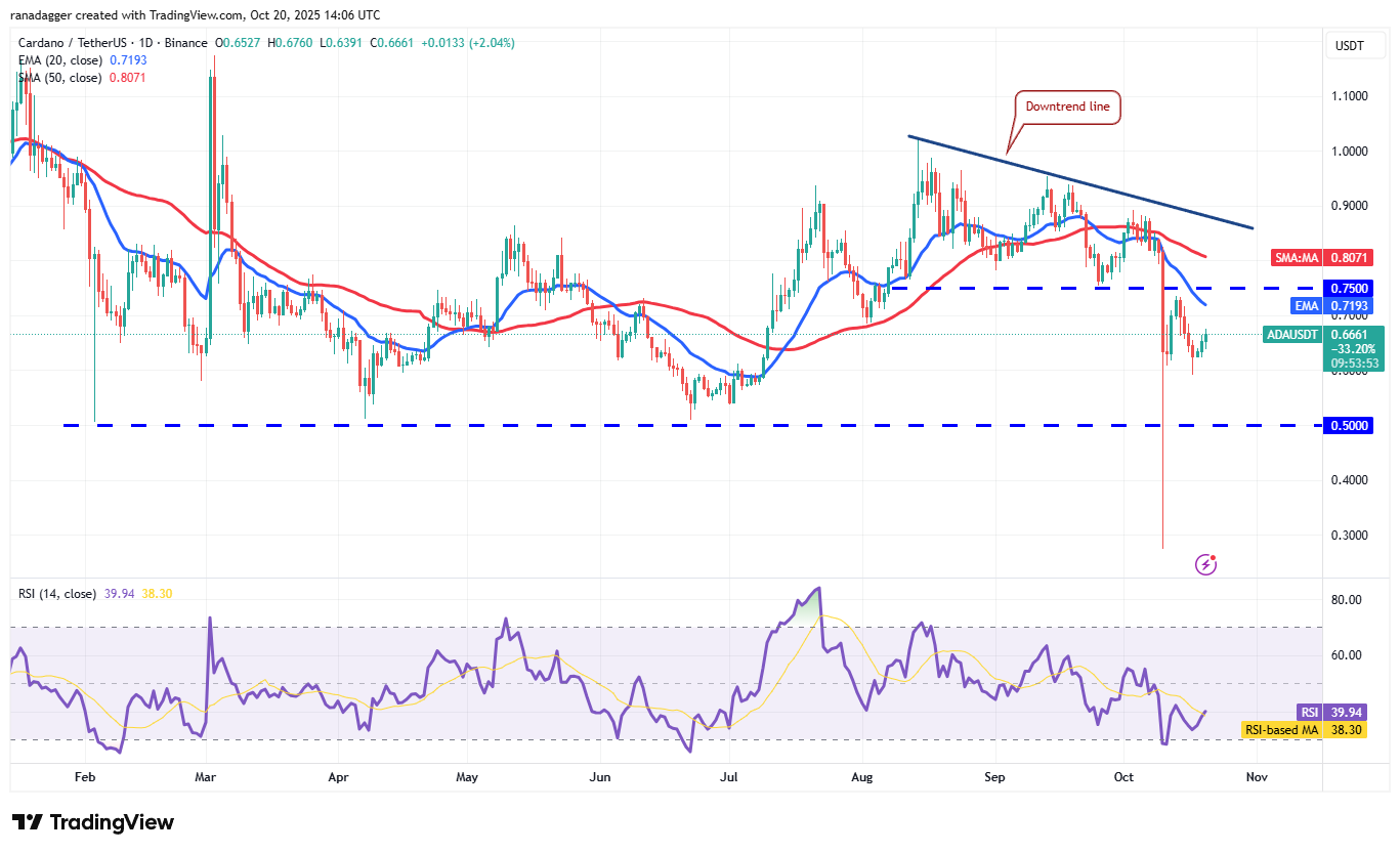 Coinbase, Dogecoin, Cryptocurrencies, Dollar, China, Bitcoin Price, XRP, Markets, United States, Cryptocurrency Exchange, Donald Trump, Cardano, Price Analysis, Market Analysis, Ether Price, Solana, S&P 500, John Bollinger, BNB, Institutions