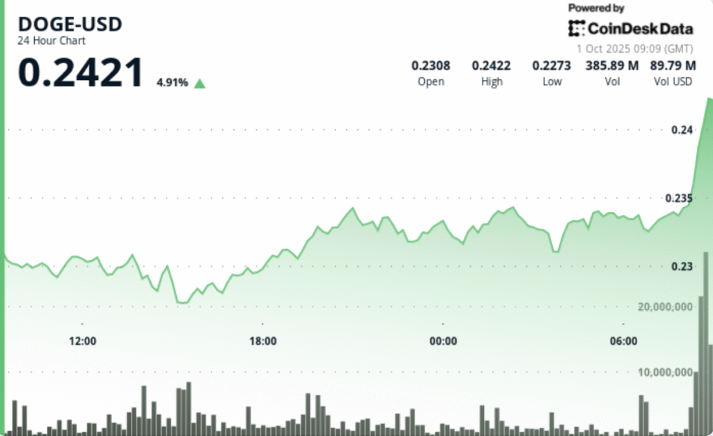 What Next as Dogecoin (DOGE) Zooms 6% on Bitcoin (BTC) Surge Higher