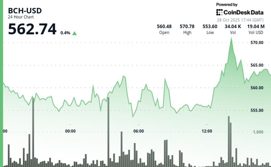 Bitcoin Cash (BCH) News: Challenges Downtrend Bitcoin Cash (BCH) News: Challenges Downtrend