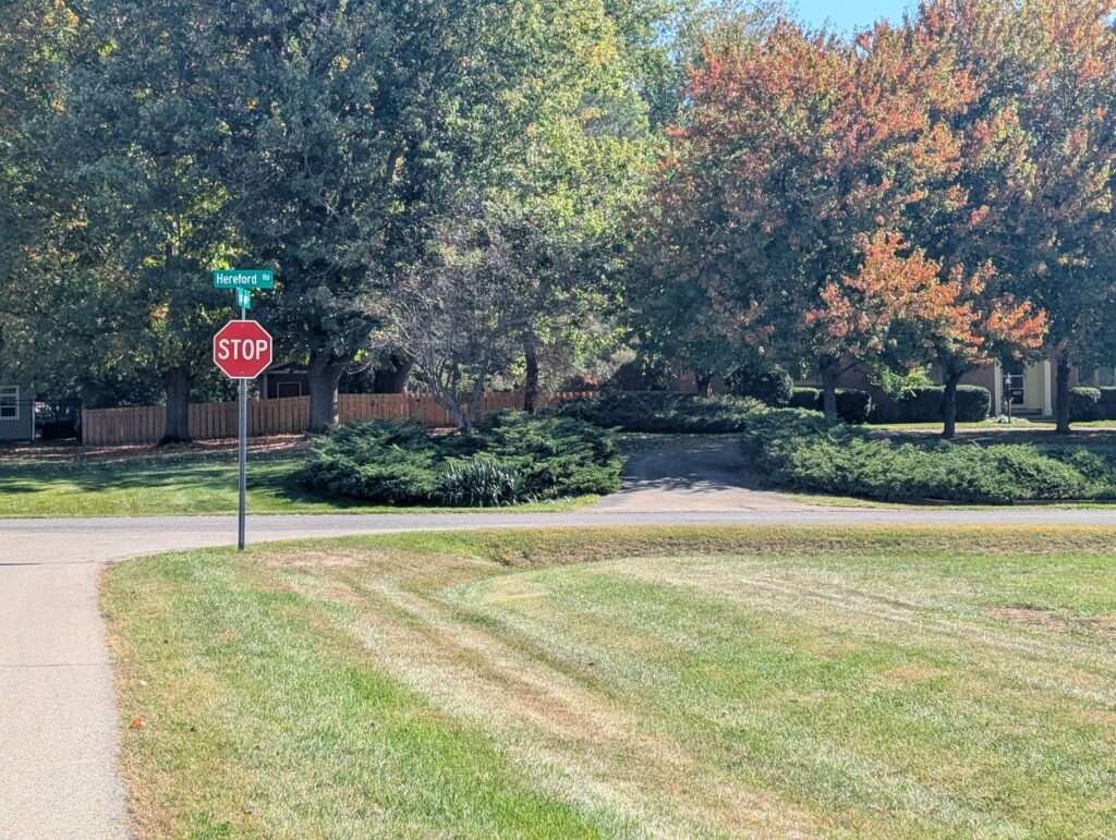 A house obscured by tree leaves on a residential street with a red STOP sign.