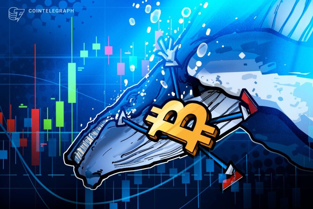 Bitcoin whales switch to buying as retail dumps on ‘extreme fear’