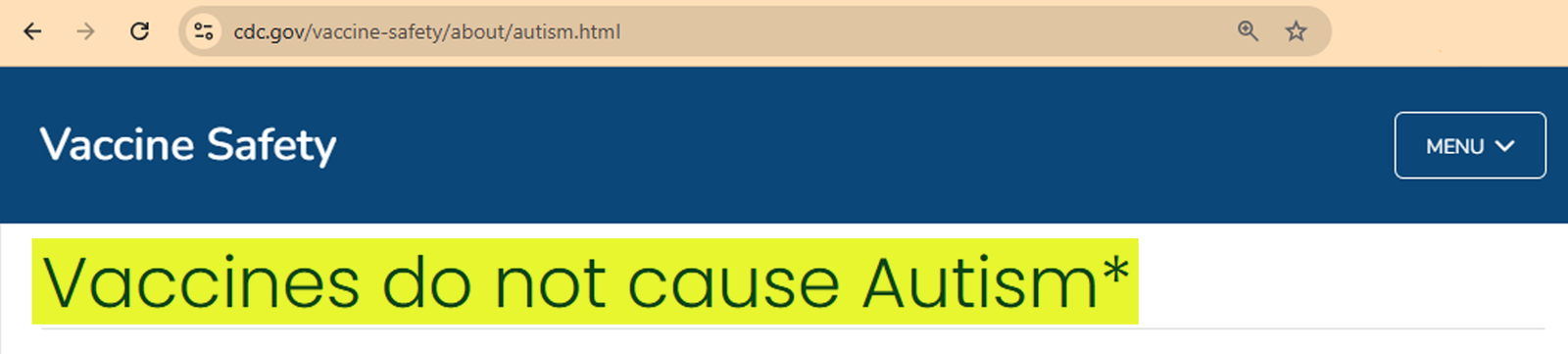 A screenshot from the CDC website that says "Vaccines do not cause autism"
