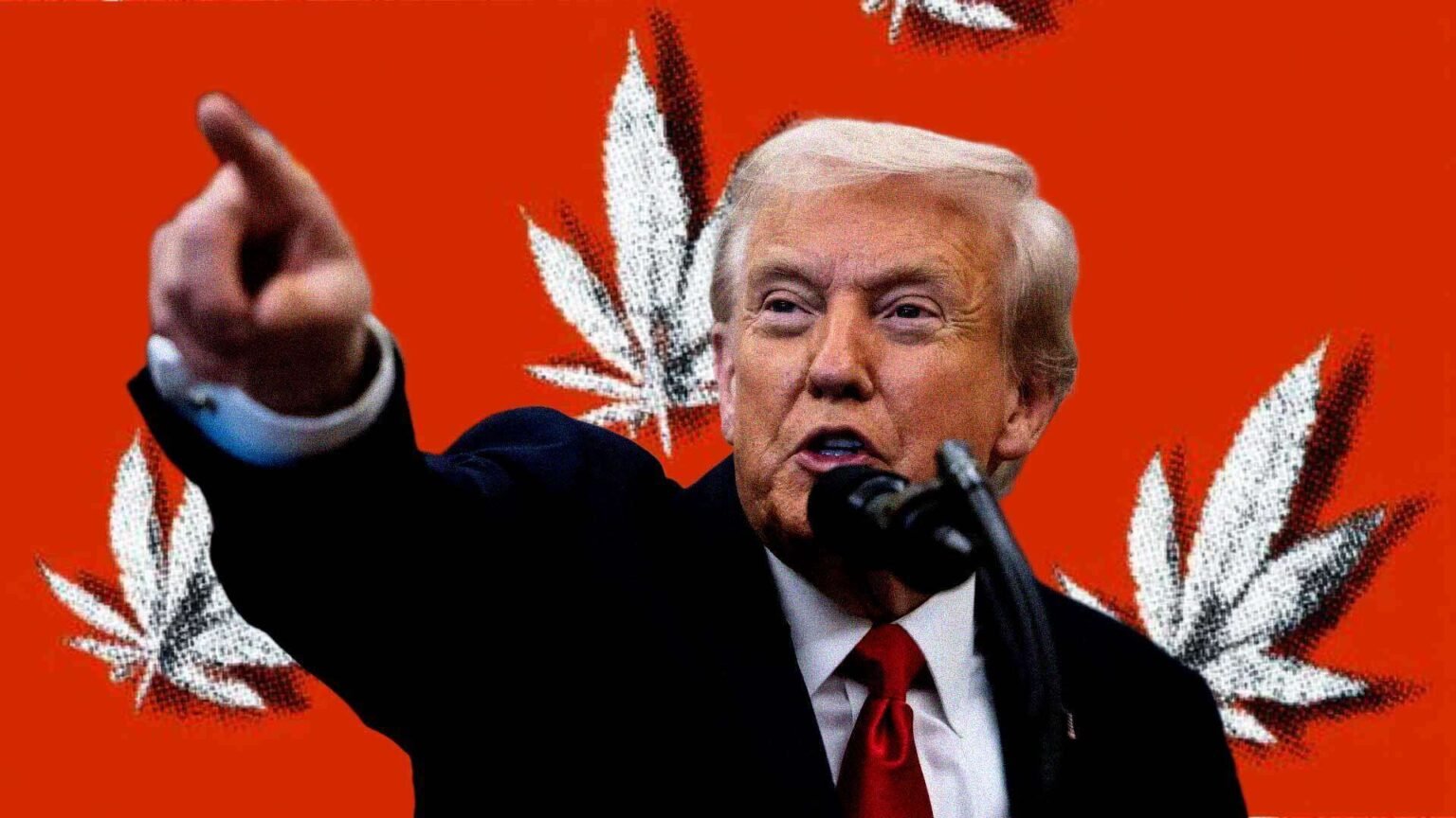 Trump’s Plan To Reclassify Marijuana Would Leave Federal Prohibition Essentially Untouched