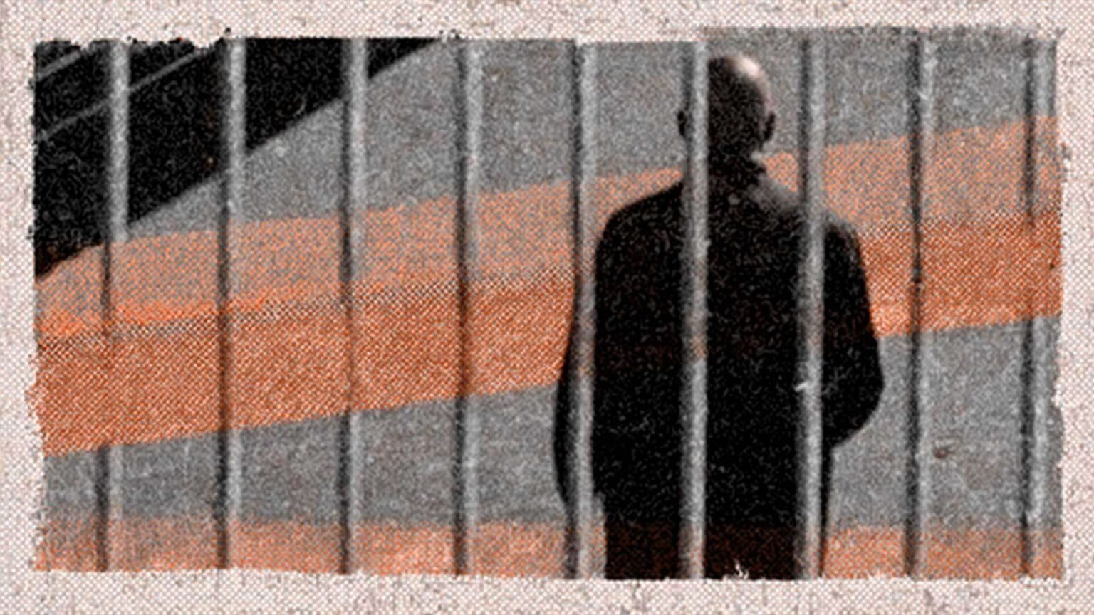 Brickbat: Some Horseplay