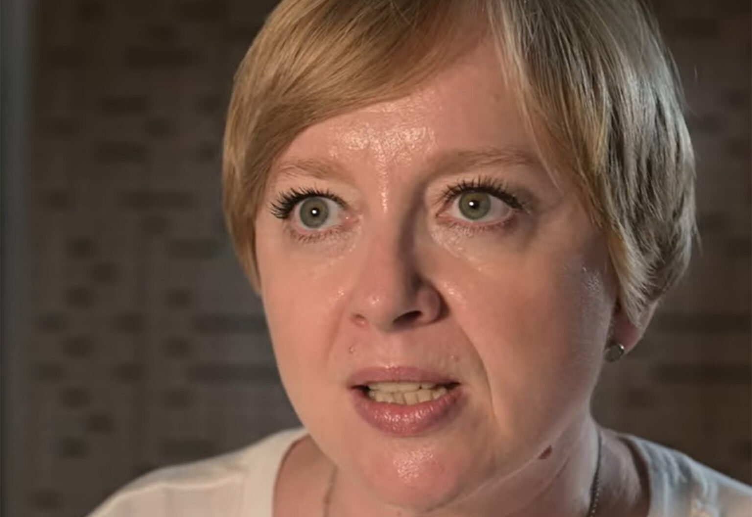 Romanian journalist Emilia Șercan threatened after plagiarism exposé Romanian journalist Emilia Șercan threatened after plagiarism exposé