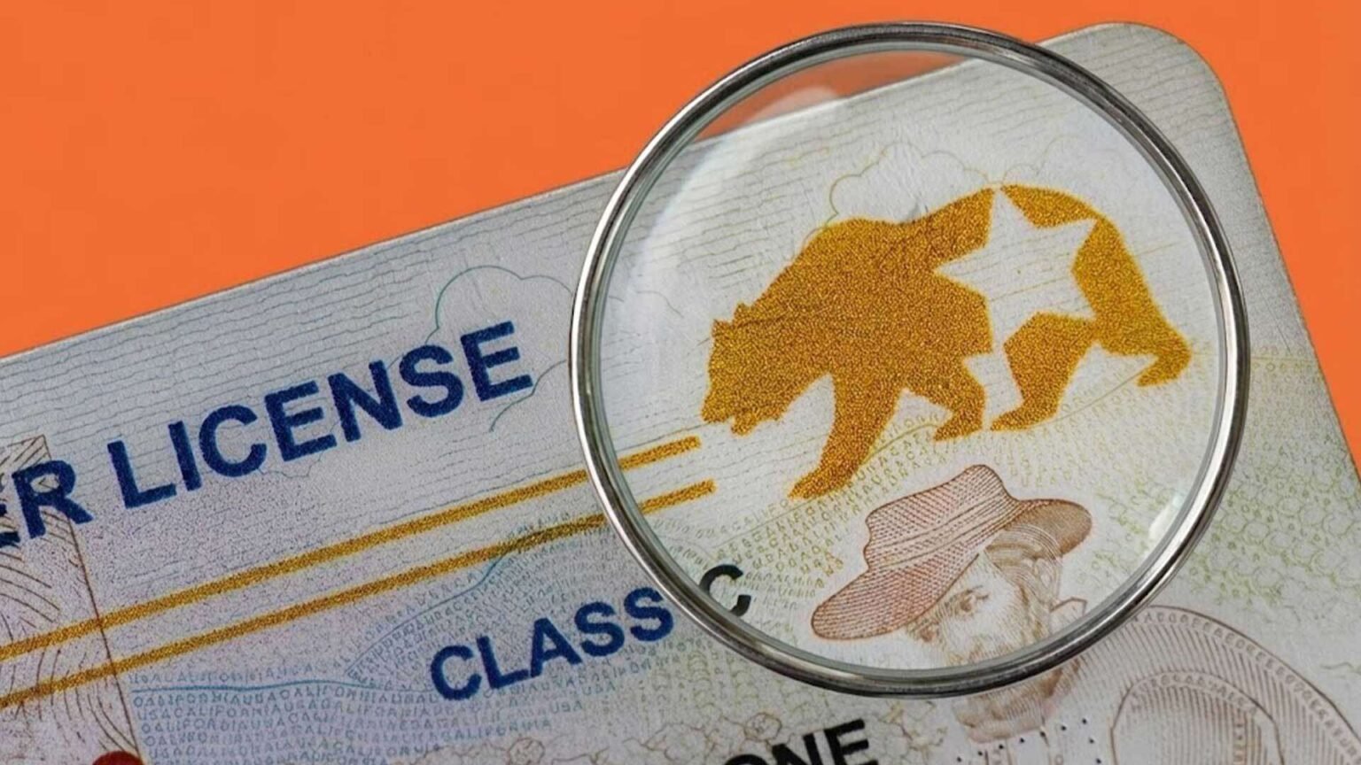 DHS Says REAL ID, Which DHS Certifies, Is Too Unreliable To Confirm U.S. Citizenship