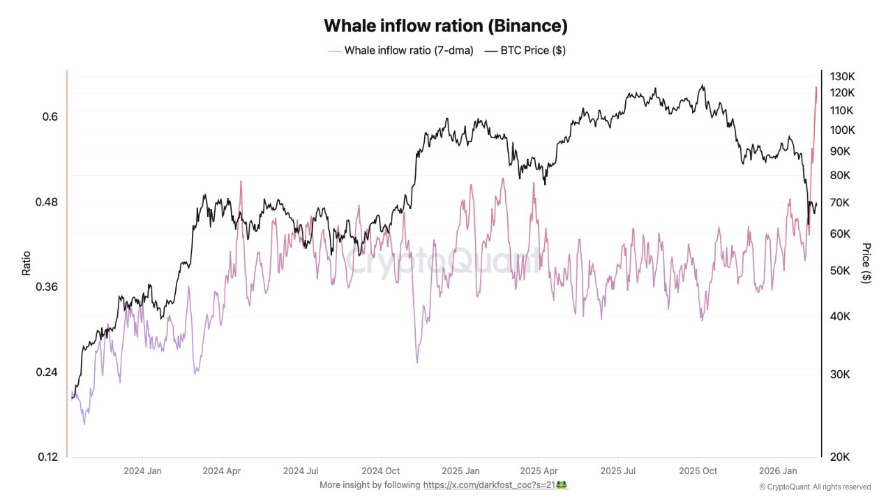 Cryptocurrencies, Bitcoin Price, Adoption, Markets, Cryptocurrency Exchange, Binance, Price Analysis, Market Analysis, Whale