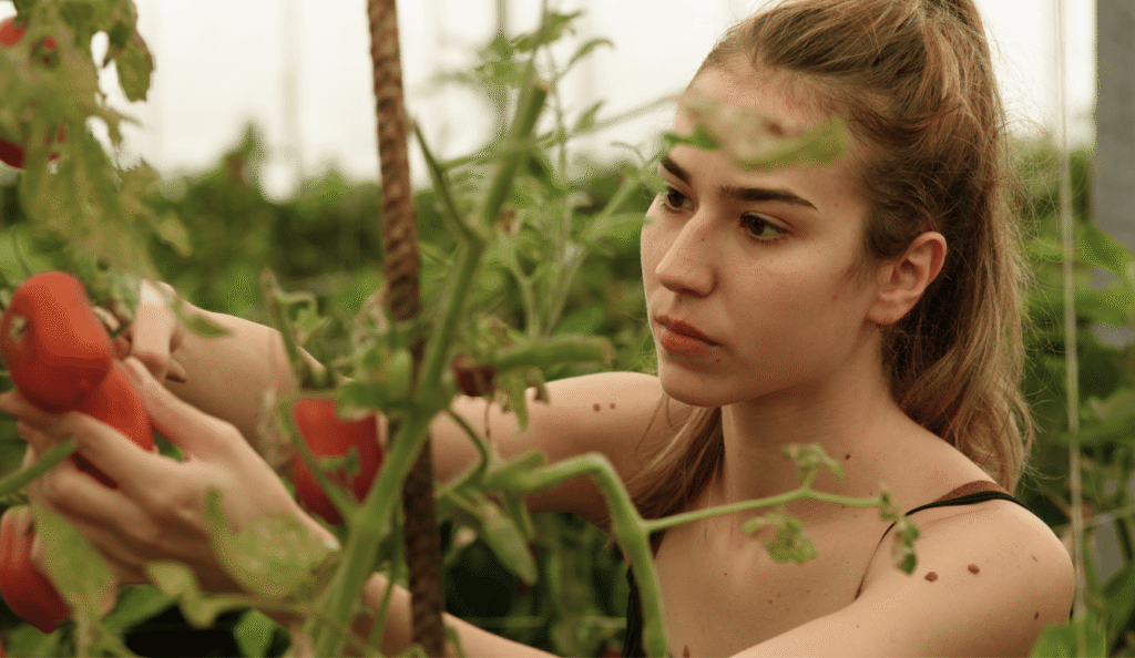 The Ideology Behind Sustainable Agriculture’s Failures