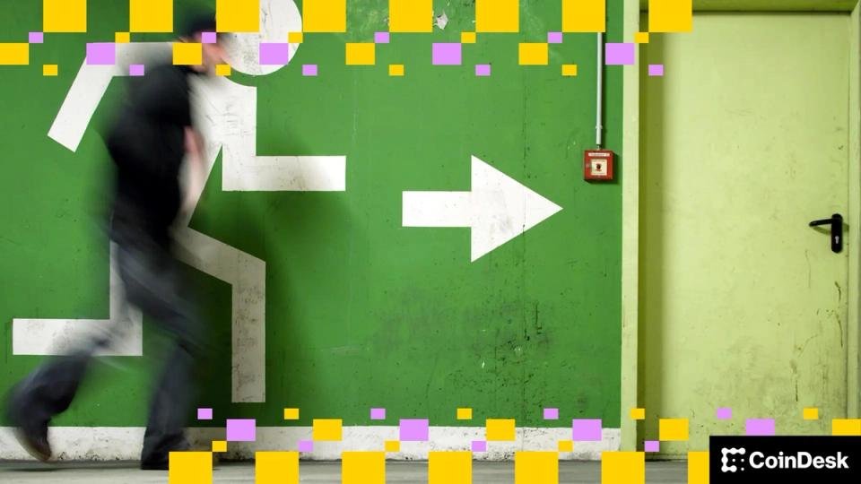 Blockfills co-founder and CEO Nicholas Hammer has stepped down following losses Blockfills co-founder and CEO Nicholas Hammer has stepped down following losses