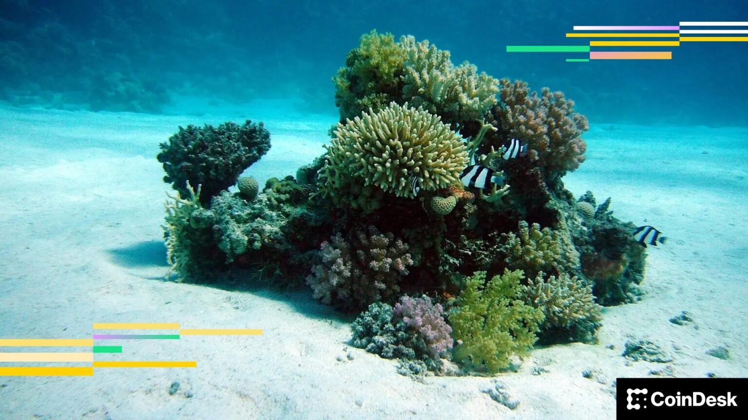 BTC spot exchange-traded fund holders are in the red, may throw in the towel