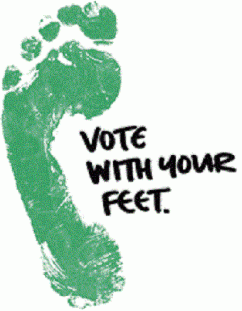 NYU Democracy Project Article on How to “Strengthen Democracy by Empowering People to Vote with their Feet”