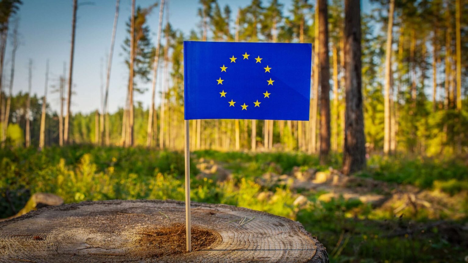 The E.U. Wants ‘Deforestation-Free’ Products. Consumers May Pay the Cost.