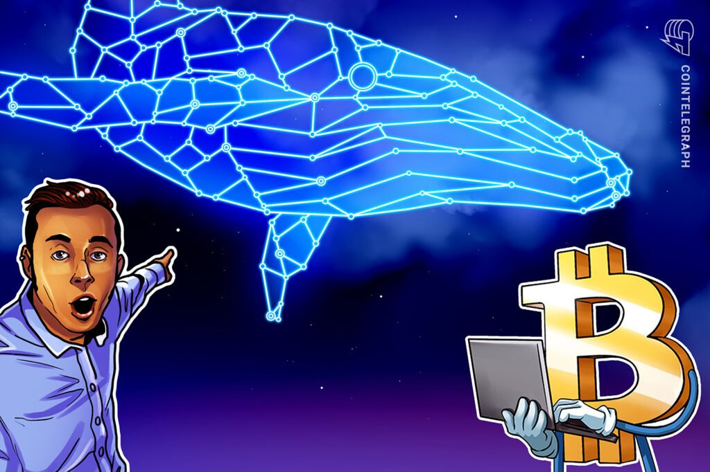 Bitcoin Whales Are Starting To Accumulate Again at K: Santiment Bitcoin Whales Are Starting To Accumulate Again at K: Santiment