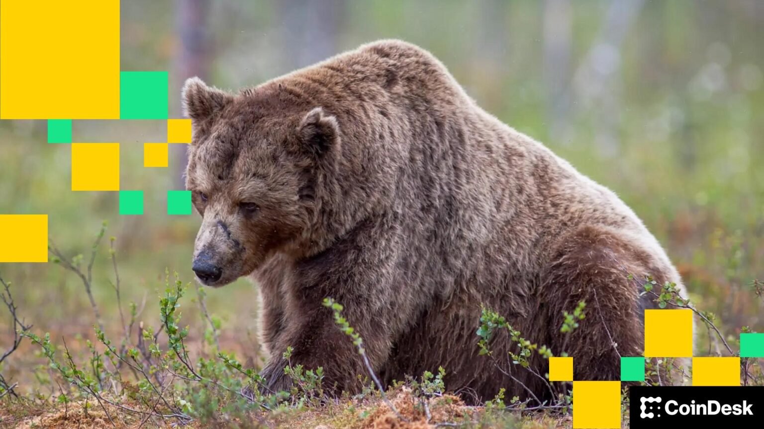 Crypto firms are ditching hundreds of workers to bet the house on AI