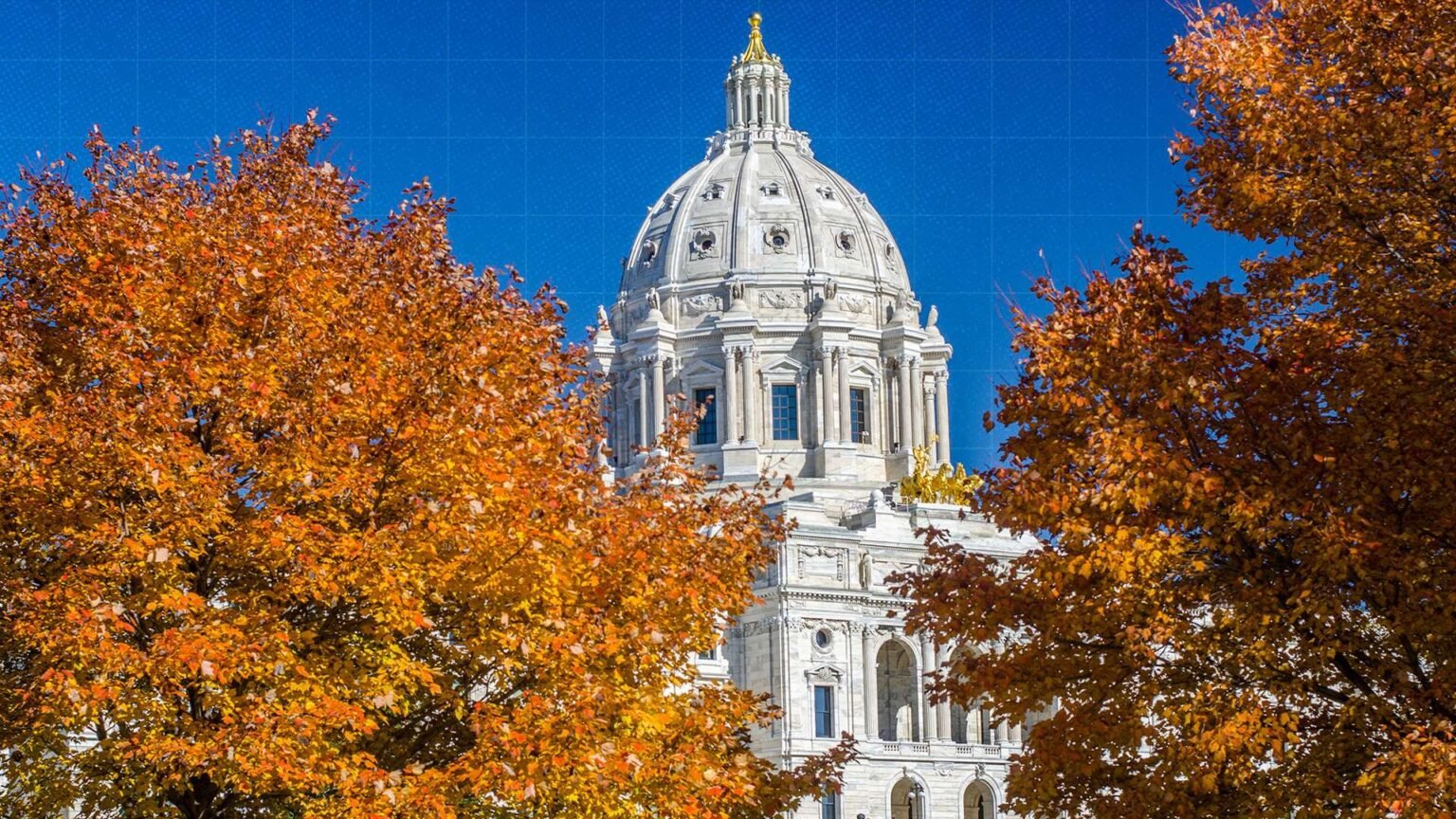 Minnesota Bills Would Create State Right To Sue Government Officials for Constitutional Violations Minnesota Bills Would Create State Right To Sue Government Officials for Constitutional Violations