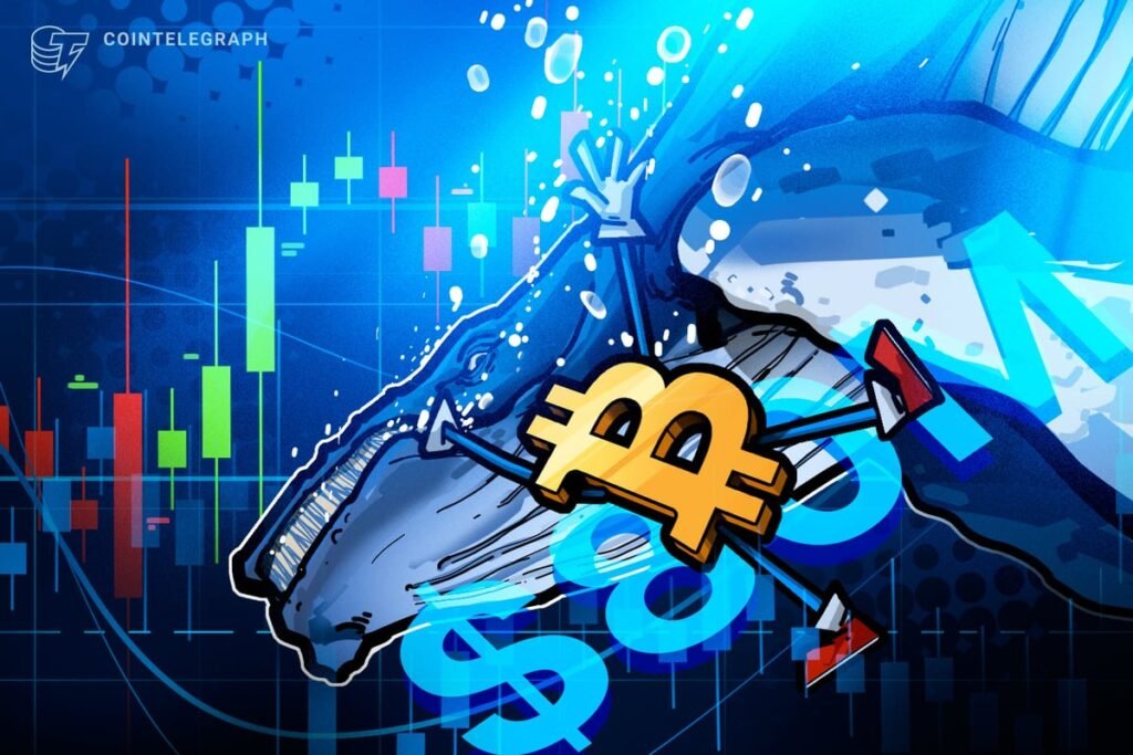 M Hyperliquid Whale Bet Predicts Bitcoin Crash and Oil Rally