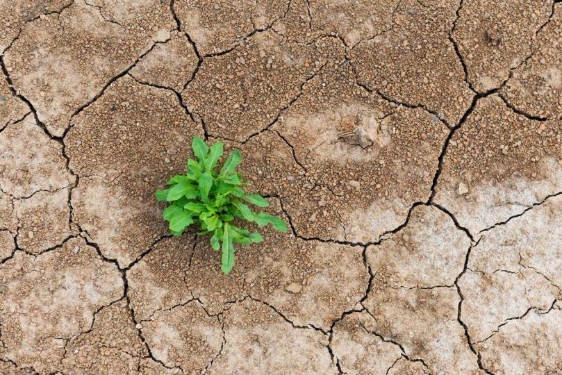 DeFi’s shakeout is a stress test, not a death sentence DeFi’s shakeout is a stress test, not a death sentence