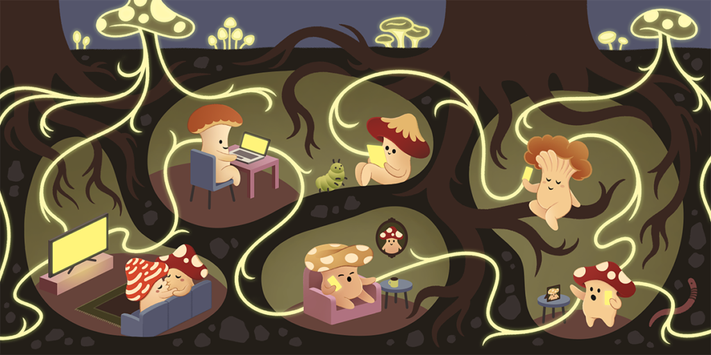 Copyright and DMCA Best Practices for Fediverse Operators