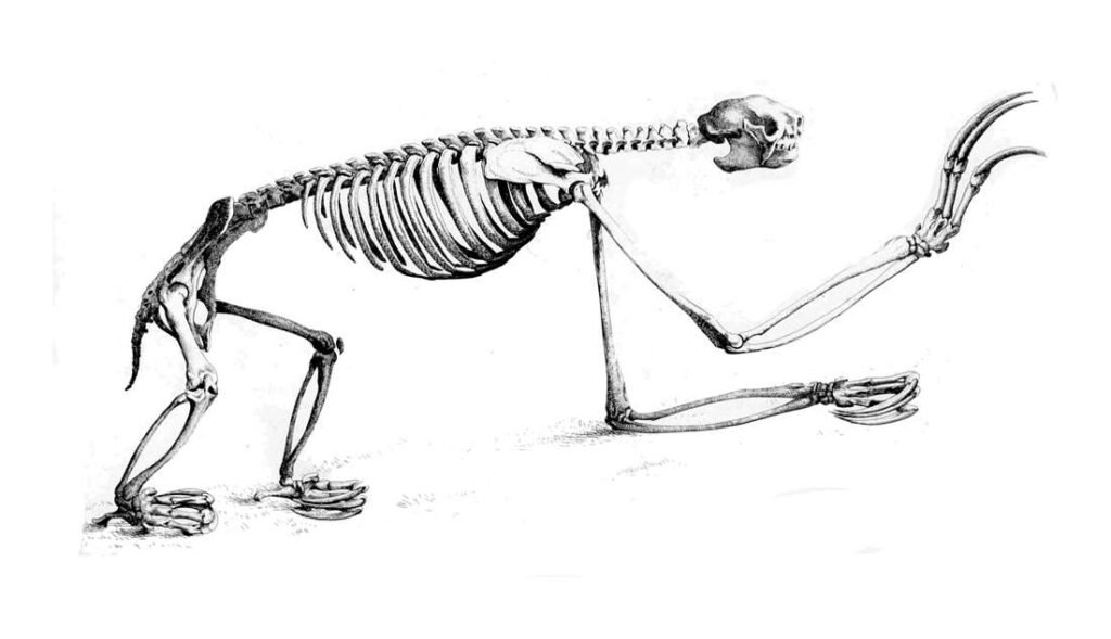 AI Hallucinations in Filing by a Top Law Firm