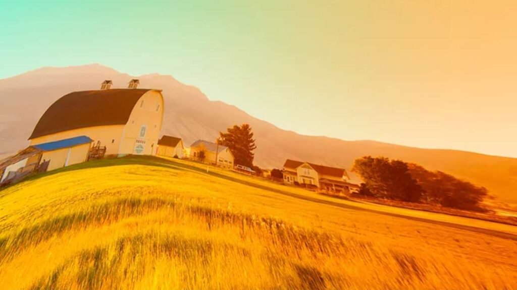 Review: A Novel About a Tradwife Influencer Taken Back in Time