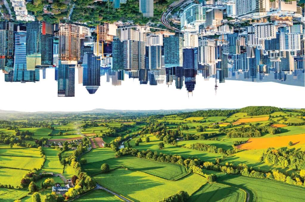 What Does the New Right Believe? What Does the New Right Believe?