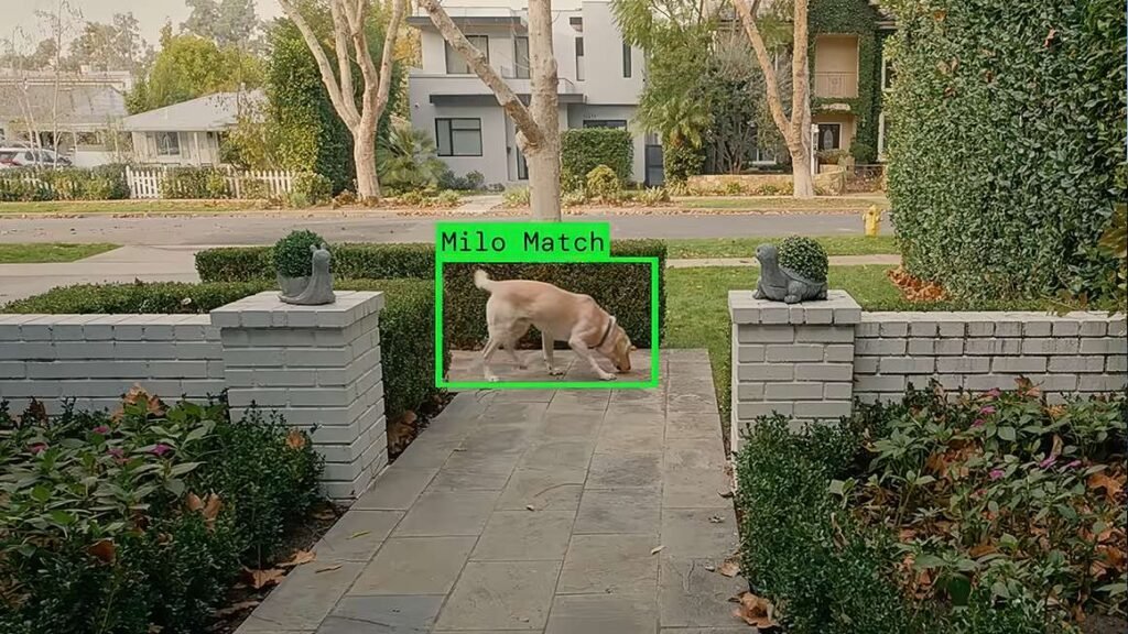 Photo: Ring Calls Off the Search Party