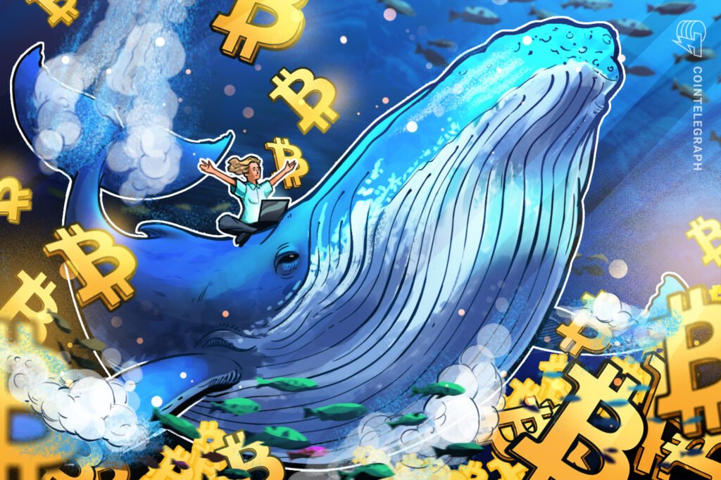 Bitcoin Whale Holdings Hit 5 Month High At 3.09M BTC
