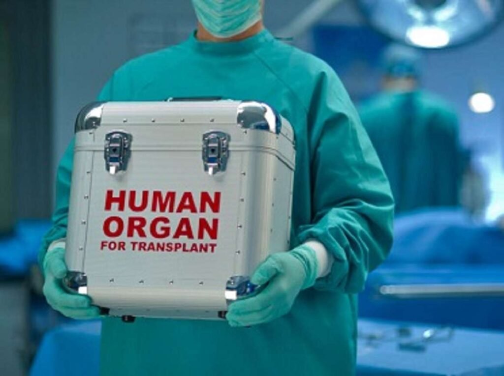 Nobel Prize-Winning Economist Alvin Roth on Organ Markets