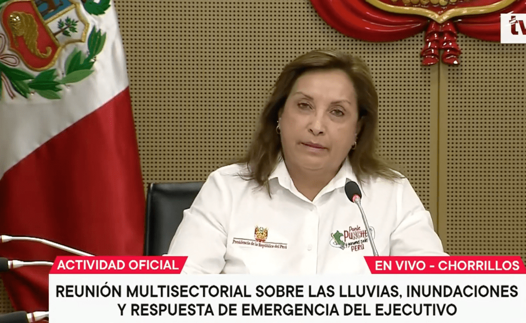 Dina Boluarte (Screenshot: 
IDL-Reporteros/YouTube)