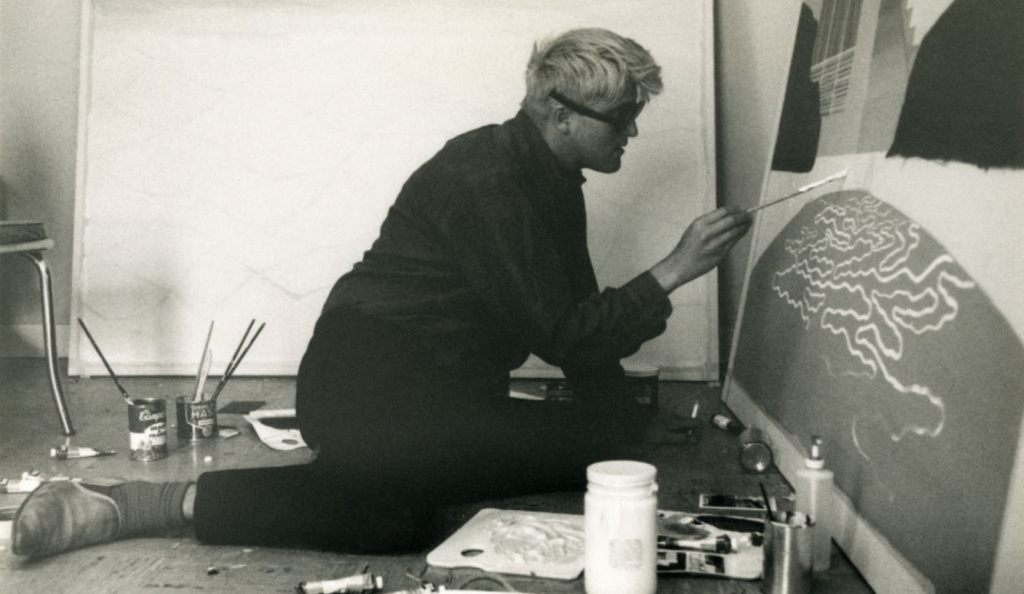 David Hockney Tribute: The Art of Looking David Hockney Tribute: The Art of Looking