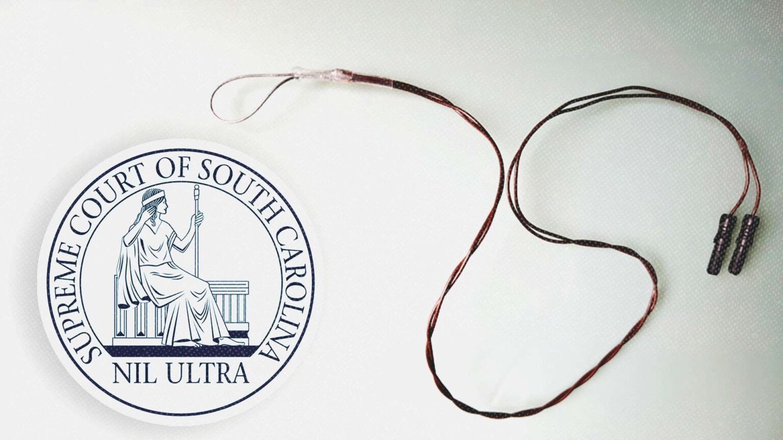 Penis Measurements Cannot Justify a Sex Offender’s Indefinite Detention, South Carolina’s Top Court Says