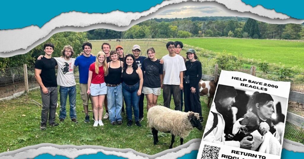 UW-Madison barks up the wrong tree by investigating student group for beagle rescue flier