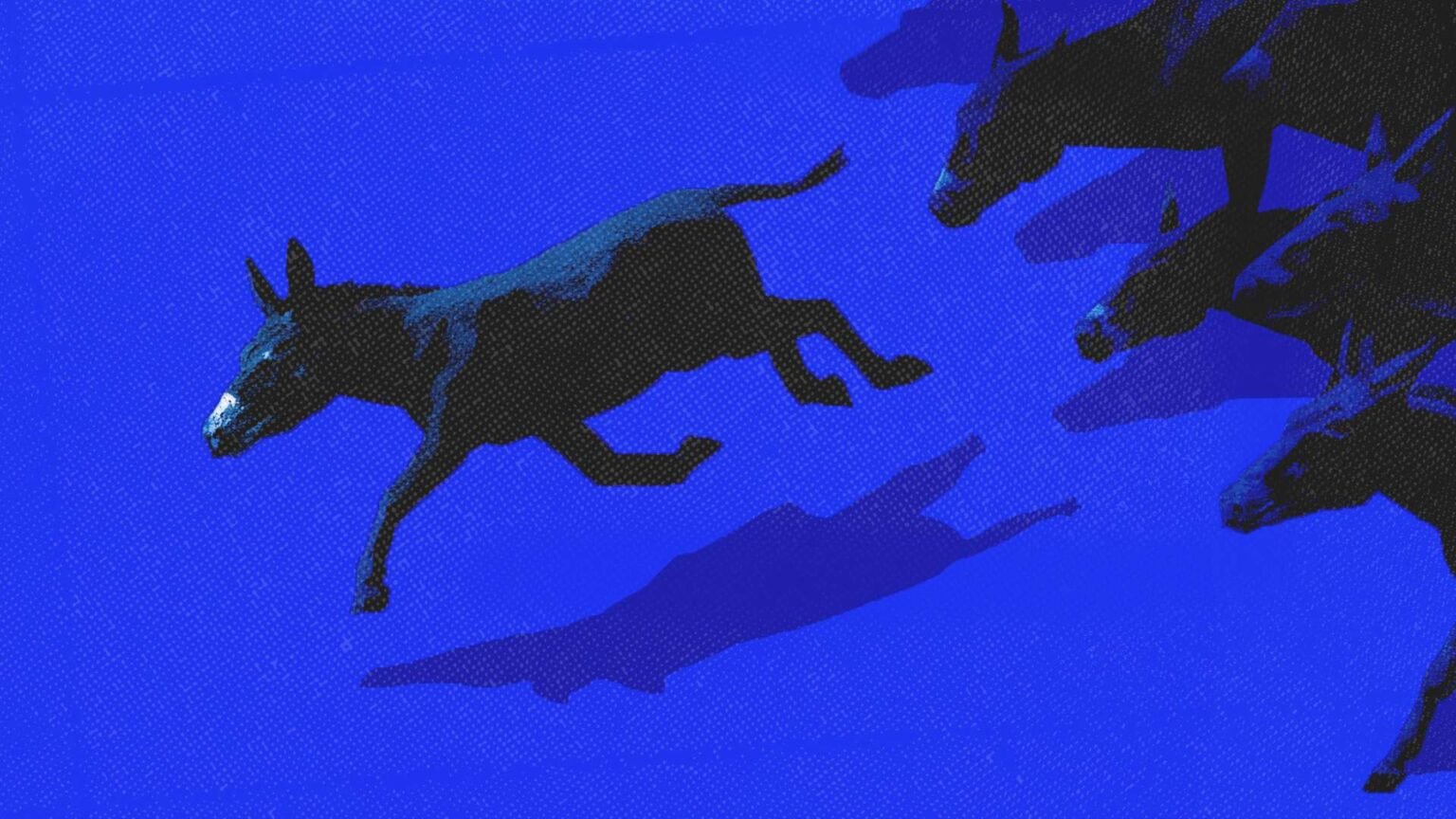 Graham Platner Signals a Problem for Democrats, and the Rest of Us