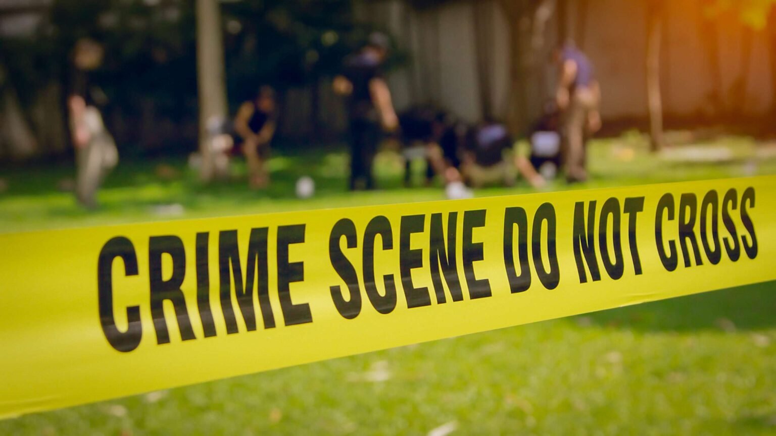 The Homicide Rate Has Dropped to Historic Lows. Contrary to What Politicians Say, No One Really Knows Why. The Homicide Rate Has Dropped to Historic Lows. Contrary to What Politicians Say, No One Really Knows Why.