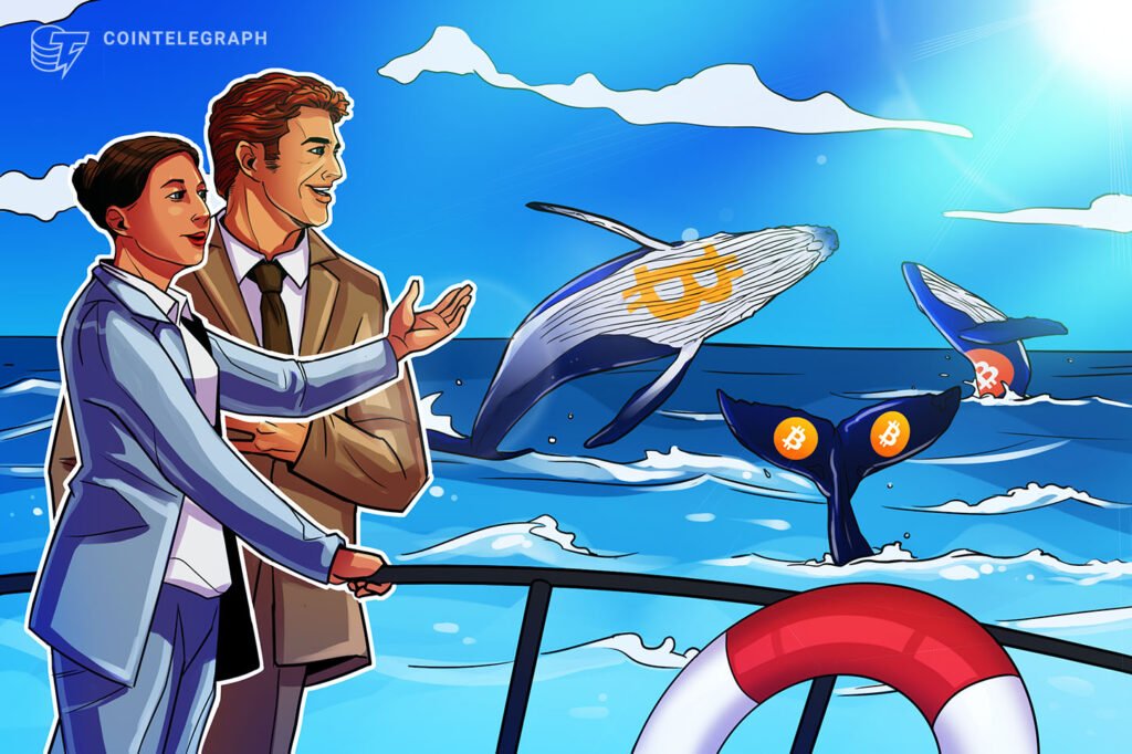 Bitcoin Whales Due Credit for ,000 BTC Price Rebound, Says CryptoQuant