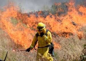 Fireman spraying brush while fire burns in the background.