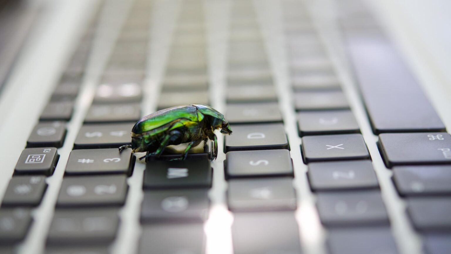 Some Bitcoin developers say they’re finding a critical bug every hour
