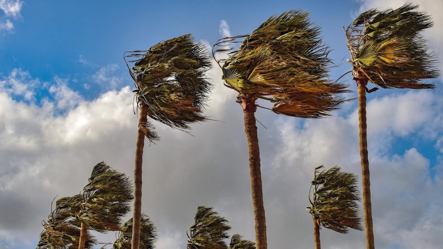 Cluster of headwinds gang up on bitcoin and wider crypto market