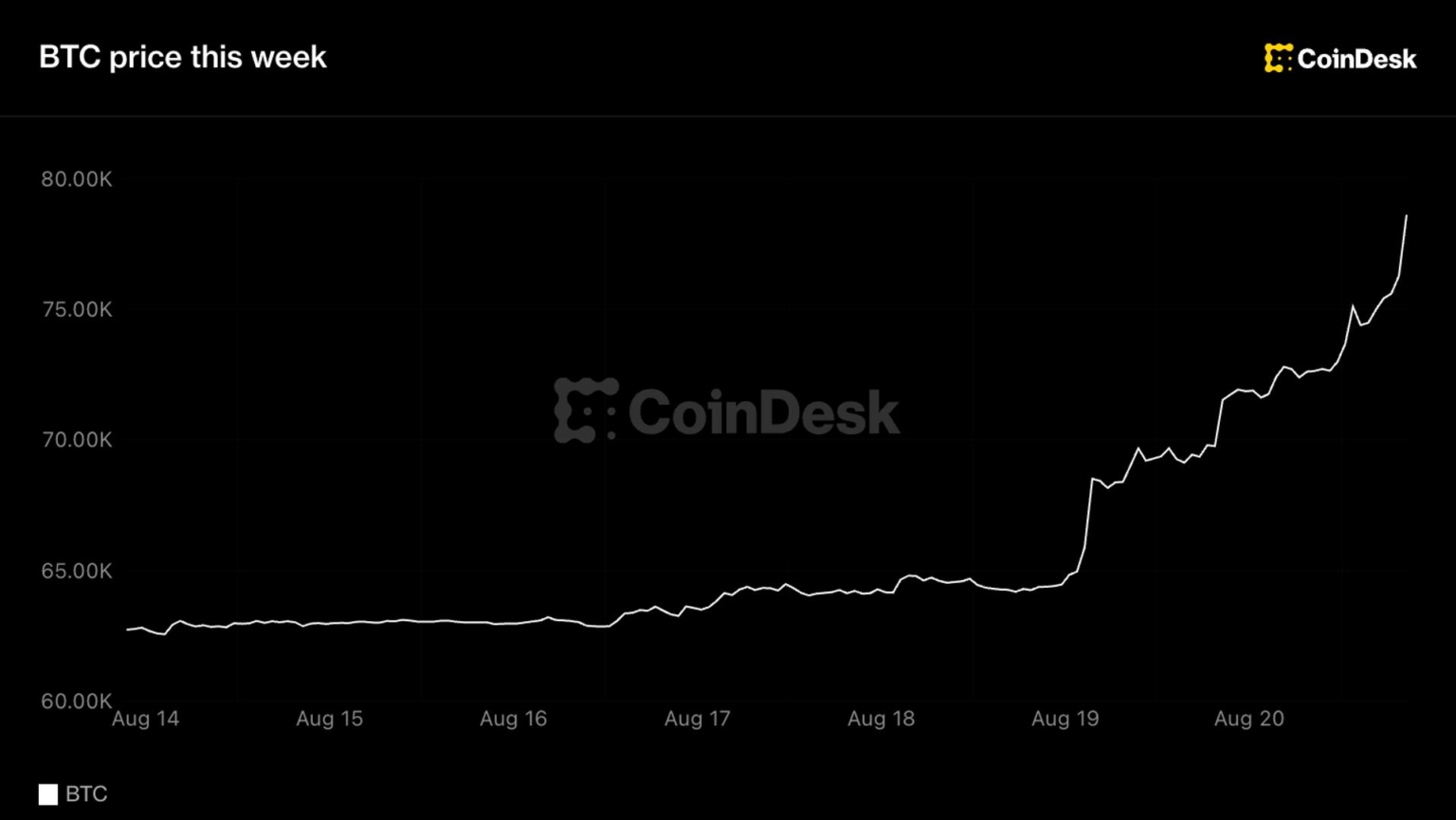Bitcoin tops ,000 as best week since 2023 pulls altcoins along for the ride