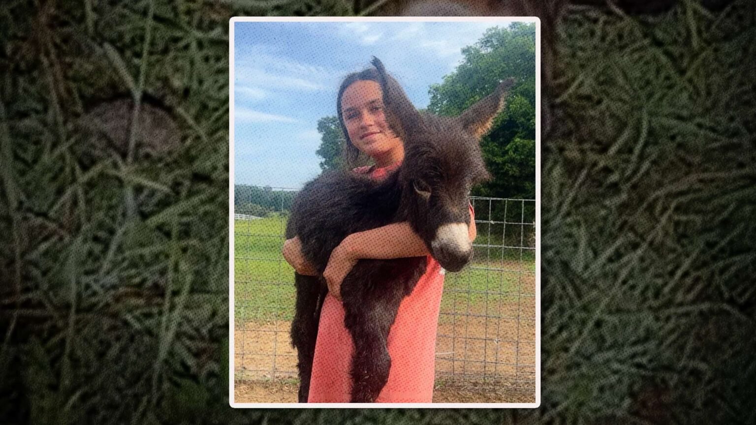 Cops in Polk County, Georgia, Fatally Shoot Petting Zoo Donkey