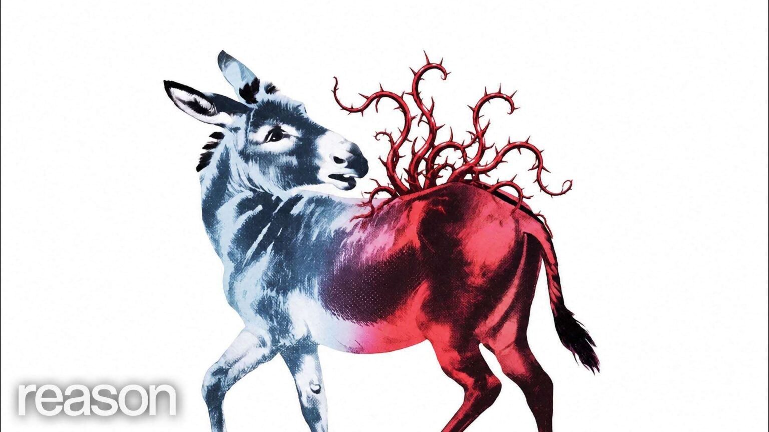 Socialists are trying to take hold of the Democratic Party