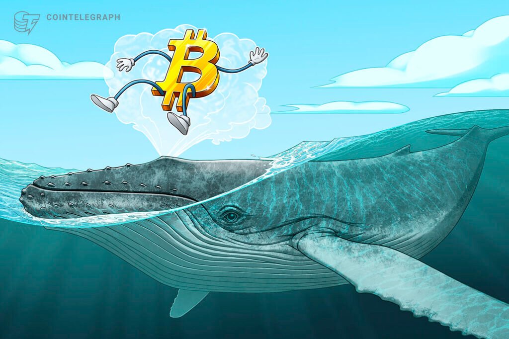 Bitcoin Whales Signal Possible Bear Market Bottom