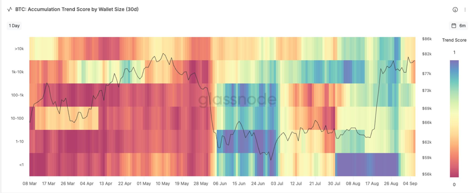 Bitcoin struggles at ,000 sell wall as whales distribution flip into net selling