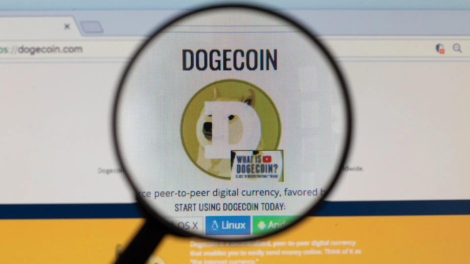 Dogecoin ETFs struggled for buyers while rival XRP and Solana funds pulled in  billion