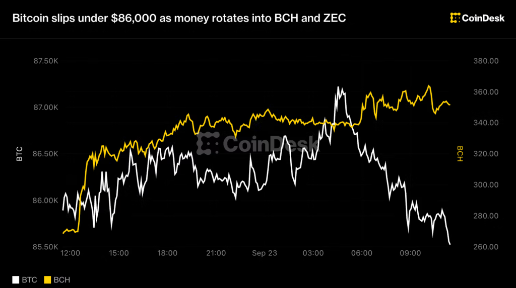 Live updates: Bitcoin slips under ,000 as money rotates into BCH and ZEC Live updates: Bitcoin slips under ,000 as money rotates into BCH and ZEC
