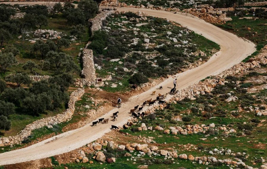 Israeli settlers with their animals in the Palestinian village of Duma, near Nablus, in the Israeli-occupied West Bank, February 24, 2026.